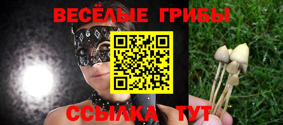 Галлюциногенные грибы MAGIC MUSHROOMS Домодедово