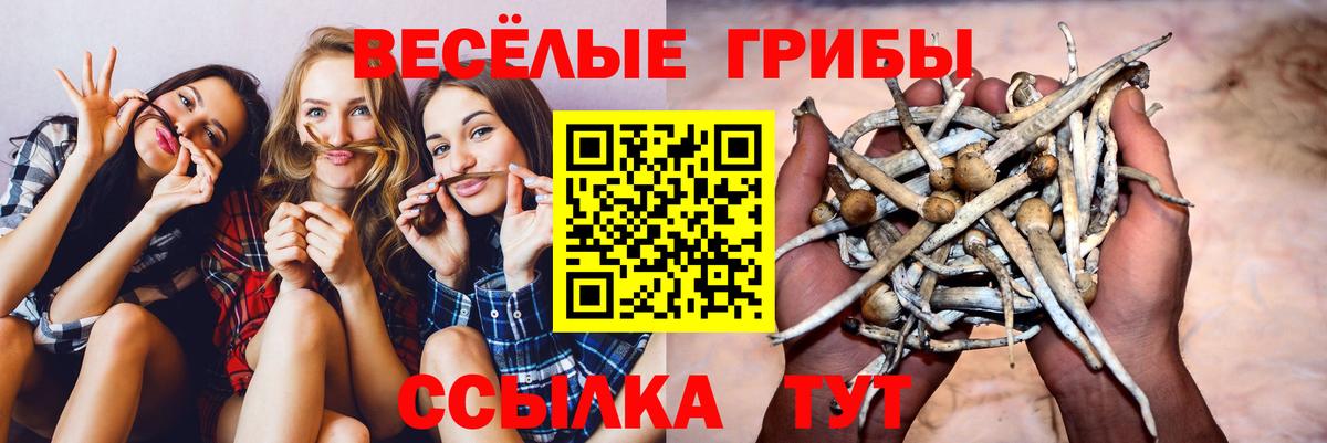 Гашиш  Лсд 25  Мефедрон кристаллы  Cocaine  ЭКСТАЗИ  Альфа ПВП СК   Марихуана  Меф кристаллы  Домодедово  МАРИХУАНА 